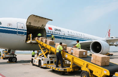 上海貨代行業(yè)全景解析：空海雙樞紐驅(qū)動(dòng)的全球物流網(wǎng)絡(luò)